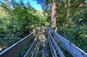 Lez di Dambel, flat walk in Val di Non | © APT Val di Non 