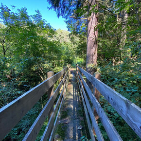 Lez di Dambel, Spaziergang auf ebenem Gelände im Nonstal | © APT Val di Non 