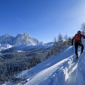 La bella vista sulle Pale di San Martino | © APT Fiemme Cembra