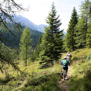 Valsorda Enduro Trail-Val Zortei - Tour 2270 | © APT San Martino di Castrozza, Primiero e Vanoi