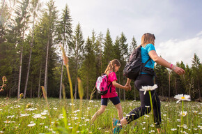 Along the route to the Stoat's Den | © APT Dolomiti di Brenta e Paganella