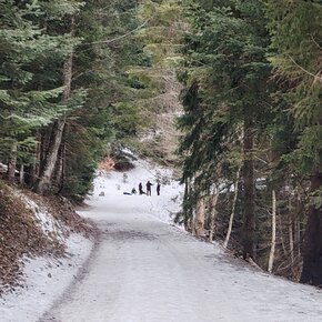 Dosson - Meriz | © APT Dolomiti di Brenta e Paganella