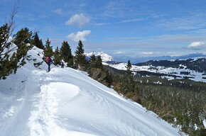 Rückkehr vom Monte Maggio | © Unknown