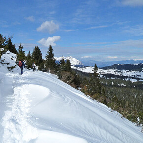 Rückkehr vom Monte Maggio | © Unknown