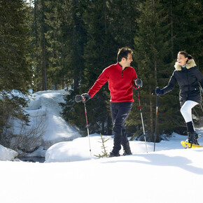 Panorama Path "dei Siori" | © Madonna di Campiglio Azienda per il Turismo 