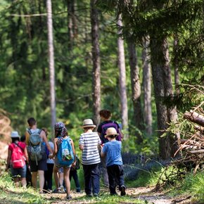 Passeggiata nel bosco a Terragnolo | © APT Rovereto Vallagarina Monte Baldo