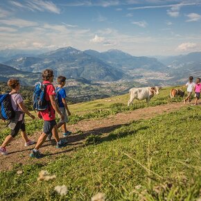 Dal Rifugio Graziani a Malga Campo | © APT Rovereto Vallagarina Monte Baldo