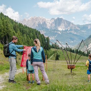 Alpe Lusia - Sentiero degli Animali - ©Archivio APT Val di Fassa | © APT Val di Fassa