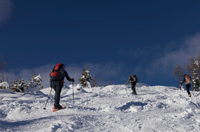Ascent to Cima Pissola | © Consorzio Turistico Valle del Chiese