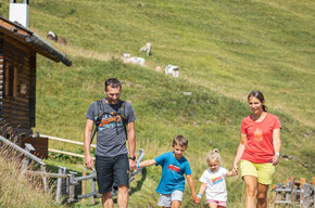 On the way | © APT Fiemme Cembra