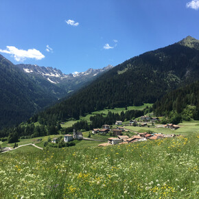 Der Lez di Rumo, Spaziergänge in ebenem Gelände im Val di Non, Trentino | © APT Val di Non 