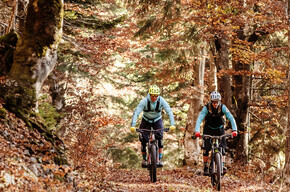 E-Bike im Wald | © APT Dolomiti di Brenta e Paganella