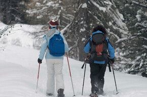 On the way | © APT Fiemme Cembra