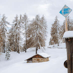 Route with snowshoes among the mountain huts of Bolentina | © APT Valli di Sole, Peio e Rabbi