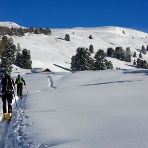 Arrivando a Canvere | © APT Fiemme Cembra