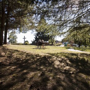 Passeggiata sui dossi di Baselga | © APT Trento 