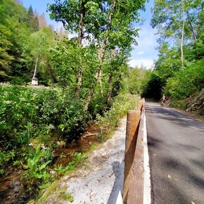 Con passeggino o a piedi da Loc. Ferrari a Montagnaga | © APT Trento 