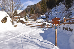 Route of the farmsteads of Cogolo | © Azienda per Il Turismo Val di Sole