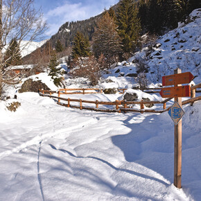 Route of the farmsteads of Cogolo | © Azienda per Il Turismo Val di Sole