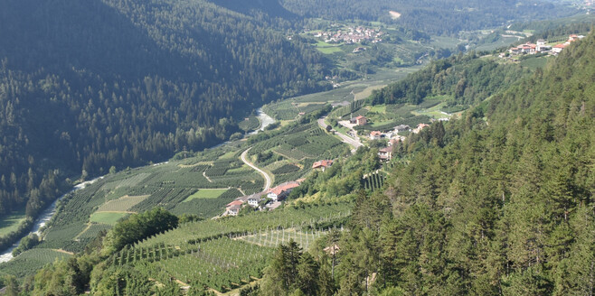 Blick von den Schützengräben | © APT Valli di Sole, Peio e Rabbi