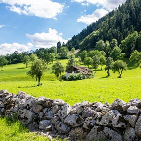 Piana di Caderzone | © Madonna di Campiglio Azienda per il Turismo 