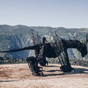Sentiero del Drago - Drago Vaia Regeneration - Partenza da Parco Palù | © Azienda per il Turismo Alpe Cimbra