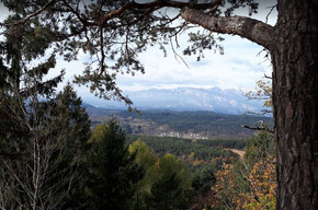 Walk to the panoramic viewpoint of Dos de La Mot - from loc. Poggio... | © APT Trento 