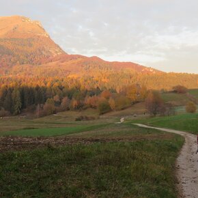 parte del Cammino di San Rocco | © APT Rovereto Vallagarina Monte Baldo