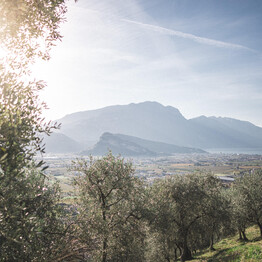 View from the Olivaia of Arco | © Garda Trentino 