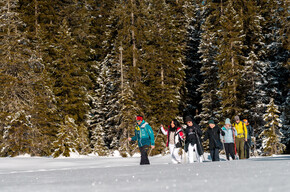 Route No. 18 Pappagallo- Colarin Cabinovia- Snowshoeing Route. | © Madonna di Campiglio Azienda per il Turismo 