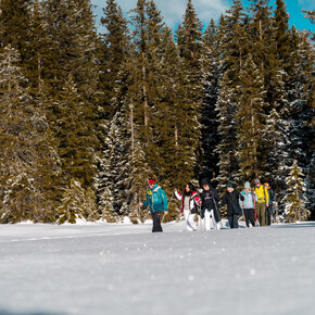 Route No. 18 Pappagallo- Colarin Cabinovia- Snowshoeing Route. | © Madonna di Campiglio Azienda per il Turismo 
