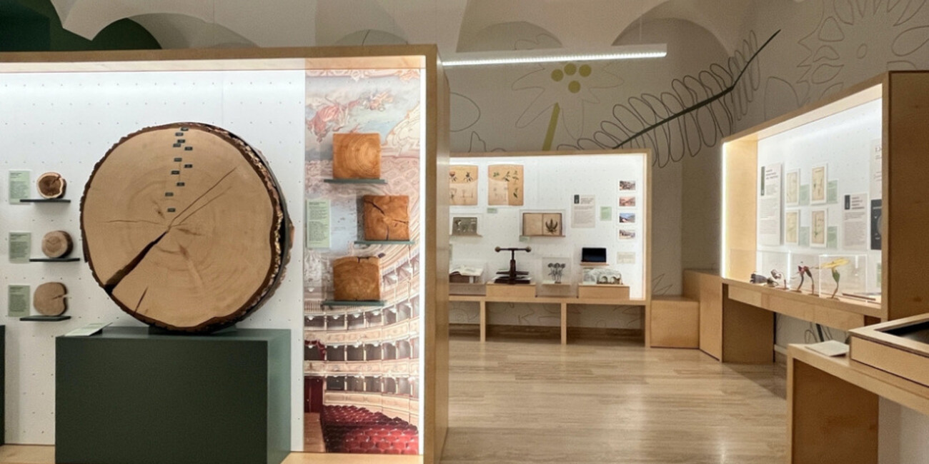 Science and Archaeology Museum #2