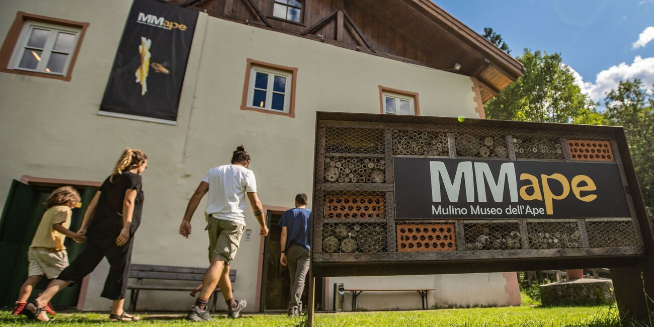 MMape – Bienenmuseum in der Mühle #4