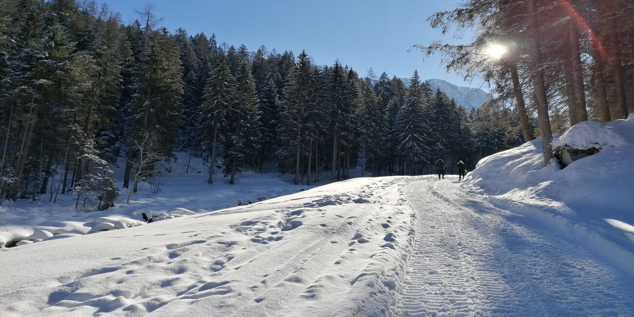 Ecomuseo Val Meledrio #1