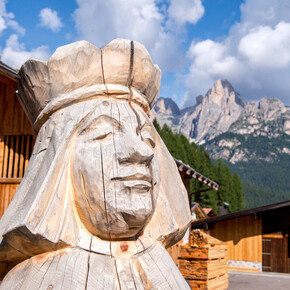 L Segat - The sylviculture