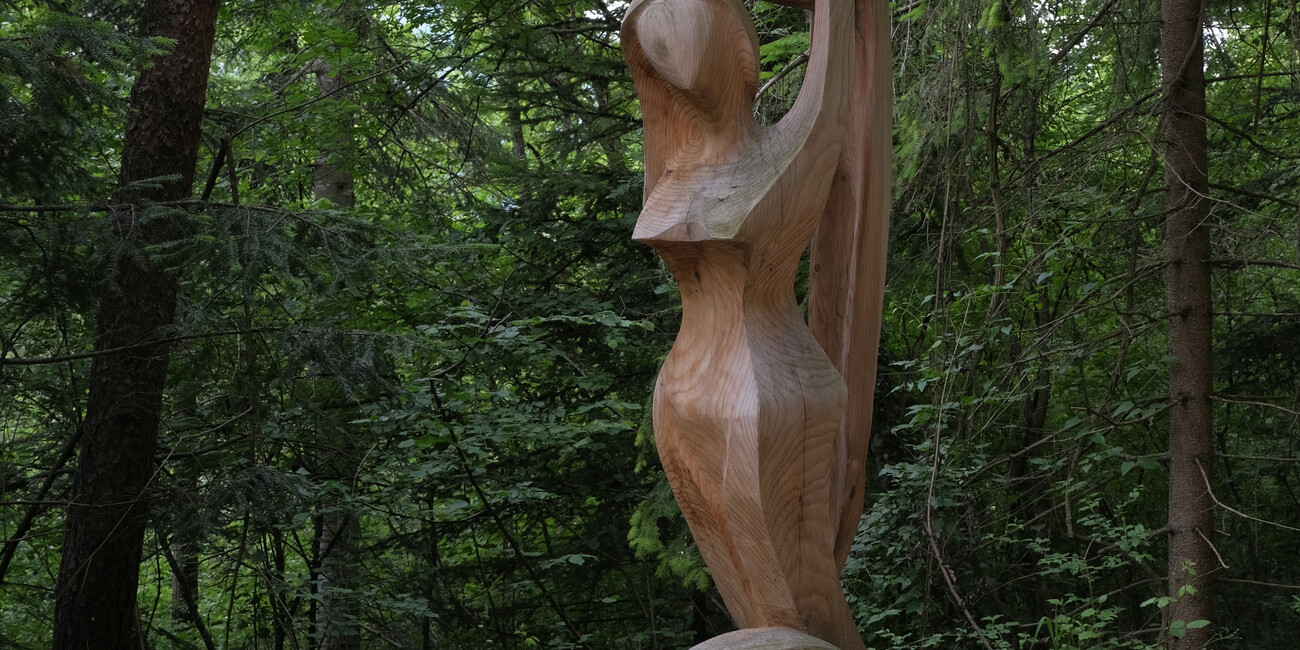 BoscoArteStenico - Kunstmuseum in der Natur #1