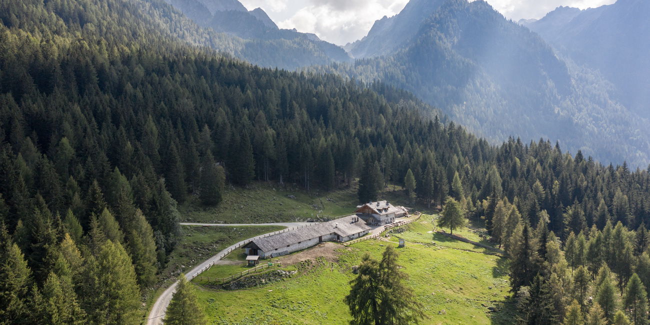 Malga Fazzon Alta #2