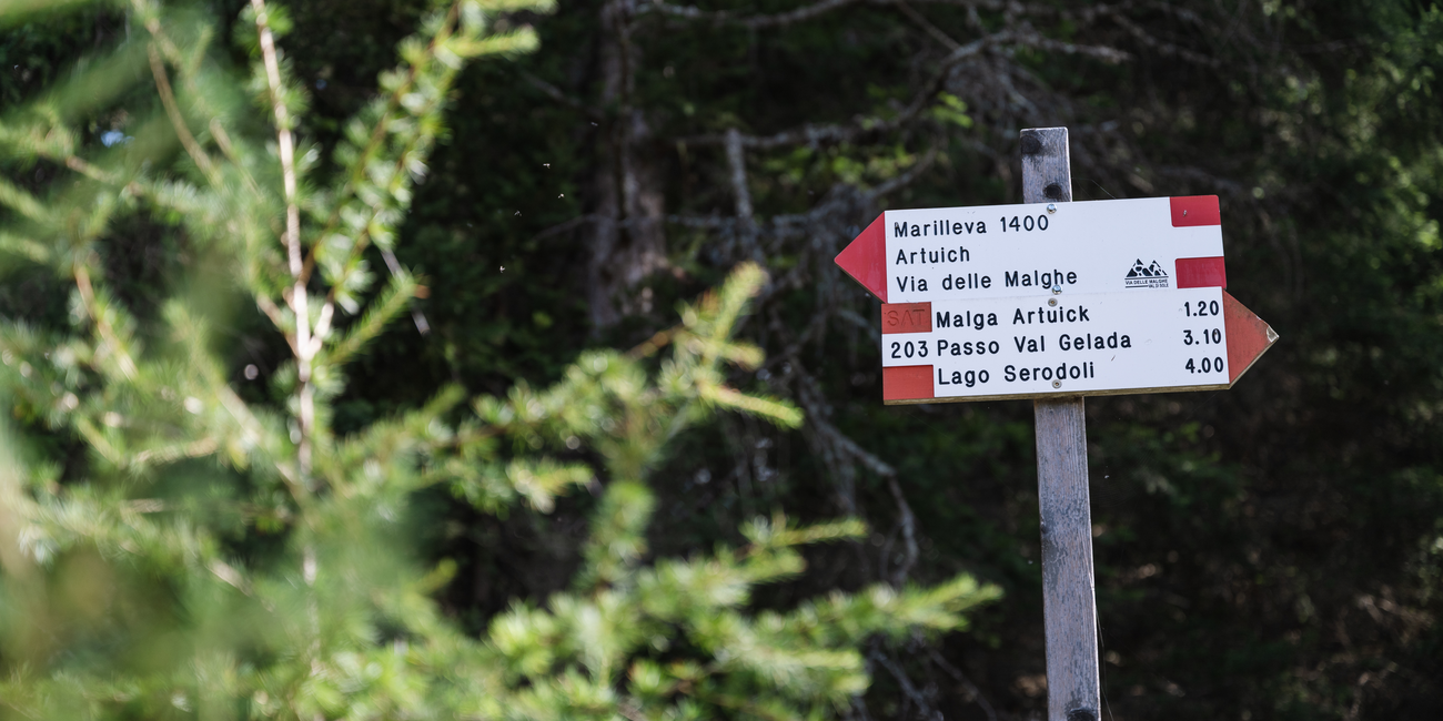 Malga Fazzon Alta #4