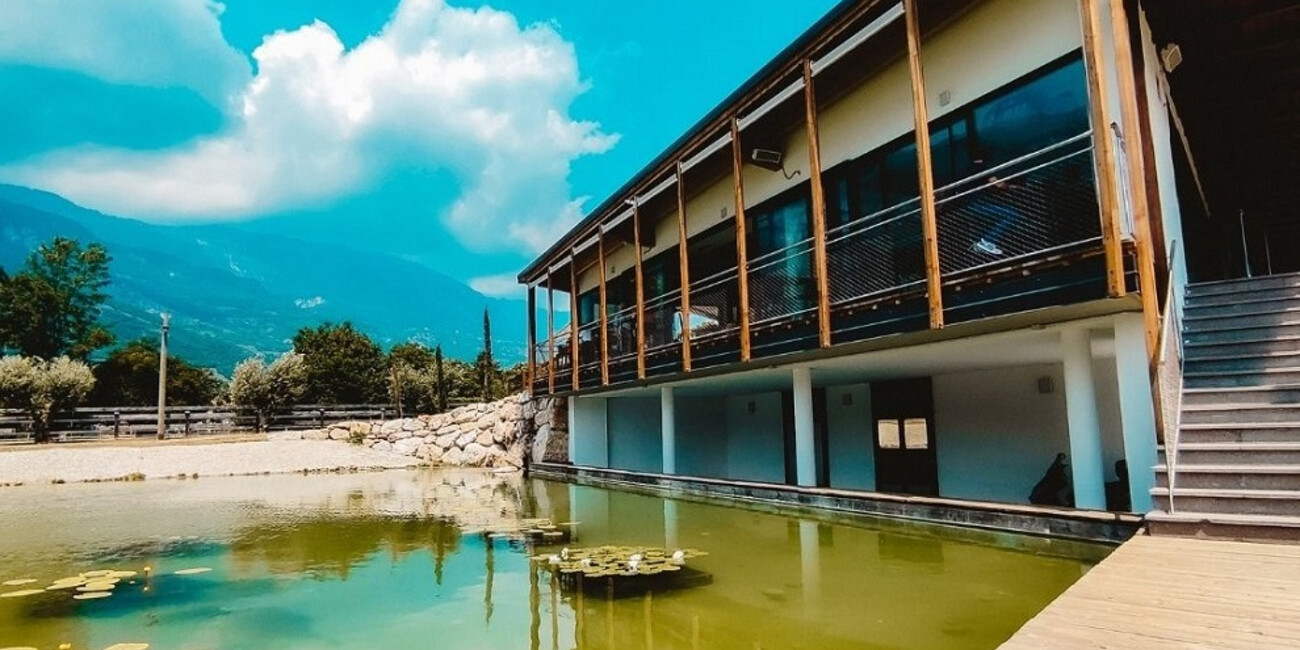 Bici Grill Rovereto #3