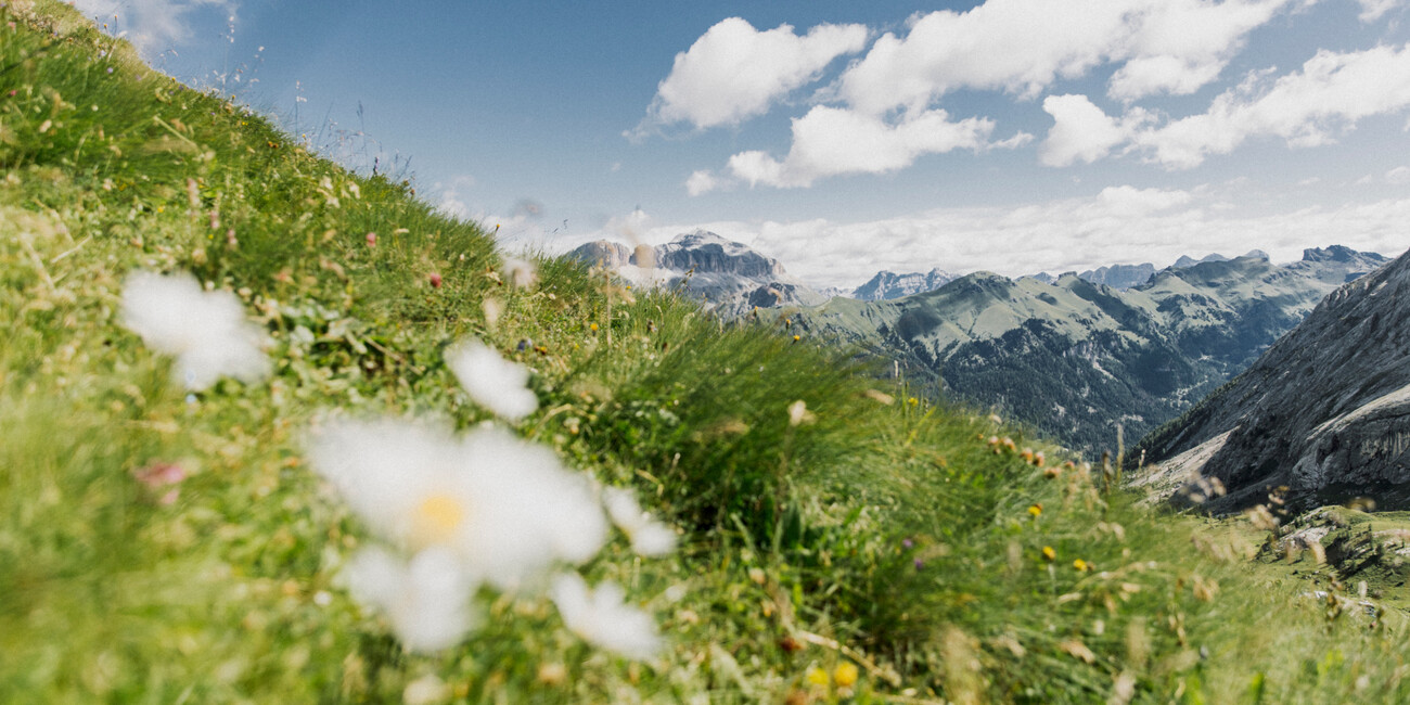 Ciampac Aussichtspunkt #6