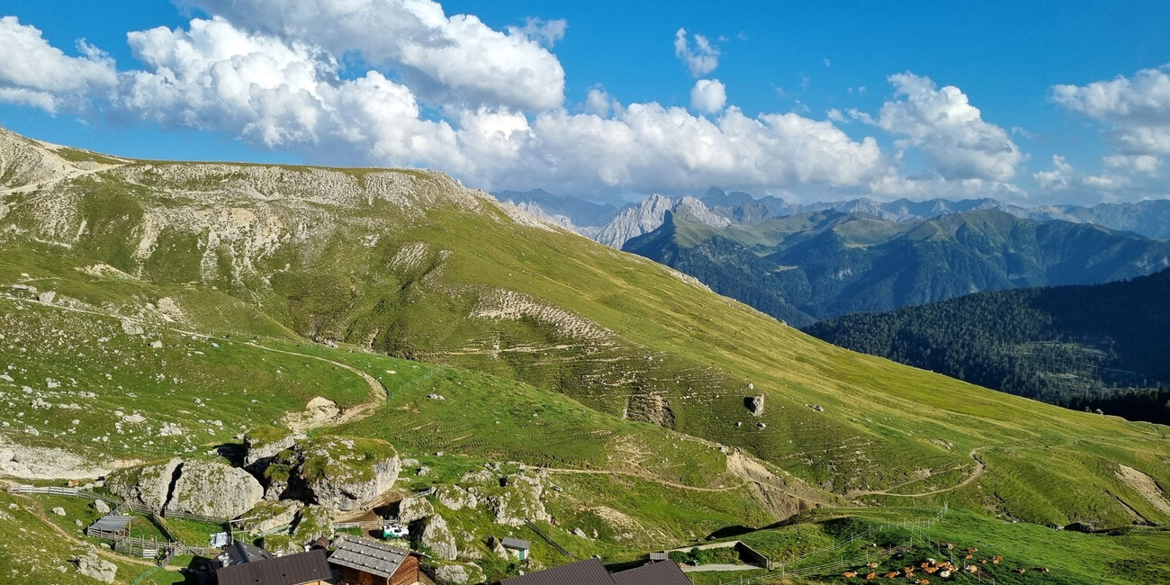 Malga Sasso Piatto #1