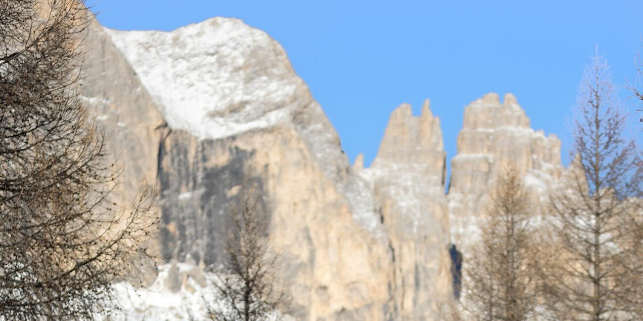 Scuola Italiana di Sci Vigo di Fassa Passo Costalunga #8