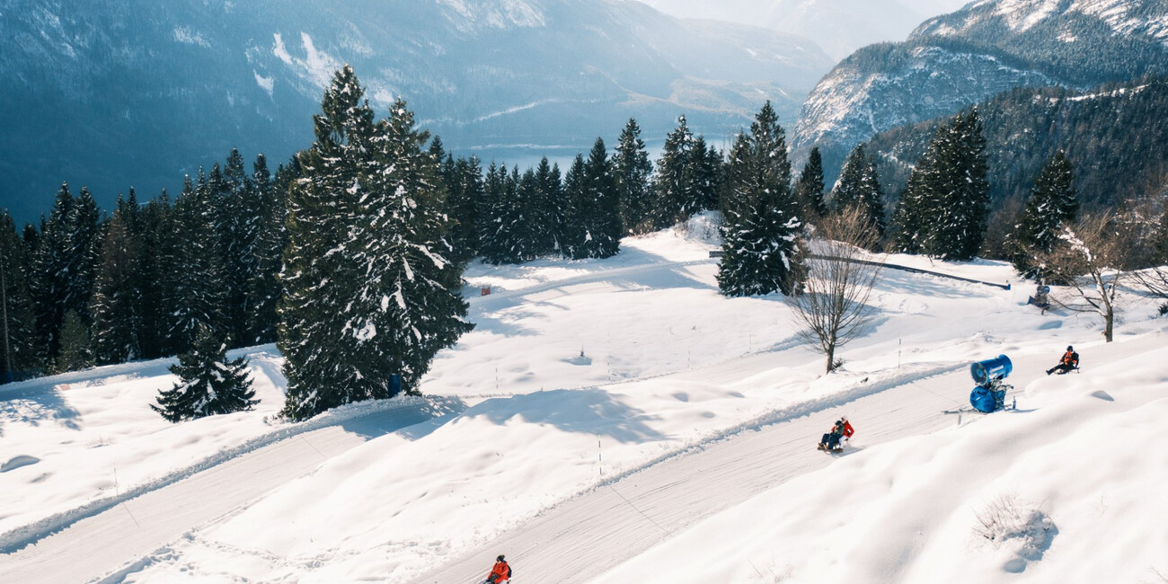 Pradel sledge runs #5