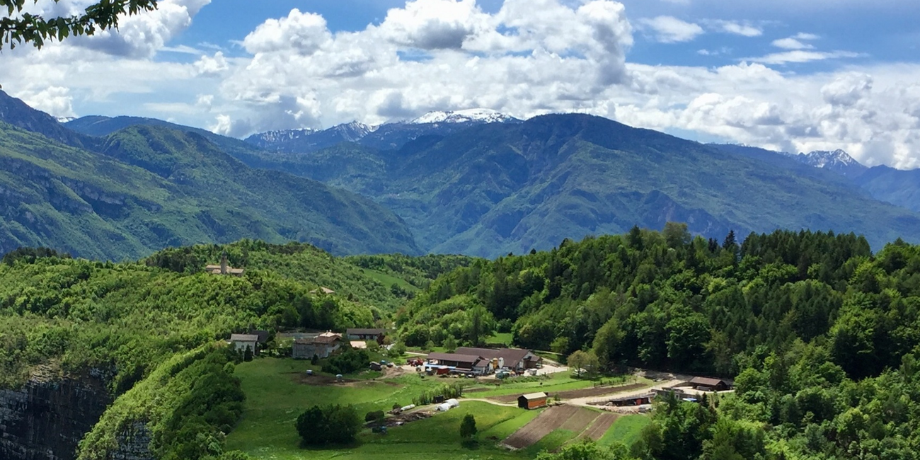 Landwirtschaftsbetrieb Dallapiazza Orlando und Moreno #1