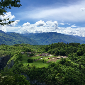 Landwirtschaftsbetrieb Dallapiazza Orlando und Moreno