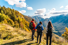 Belvedere Forra del Lupo