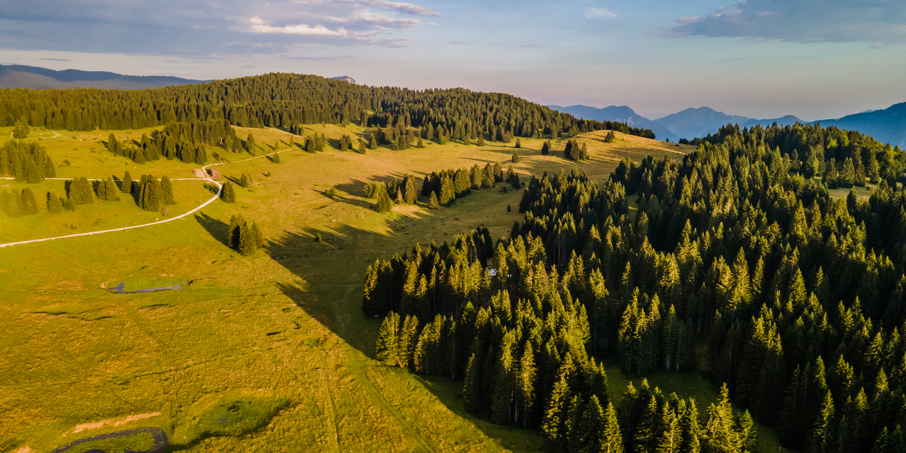 Belvedere Osservatorio Oberwiesen #1
