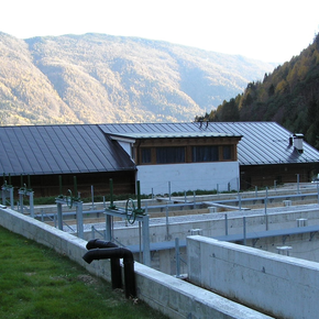 Ichthyogenes Zentrum