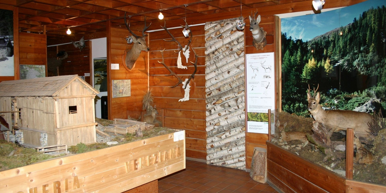 Centro Visitatori del Parco – Rabbi #1