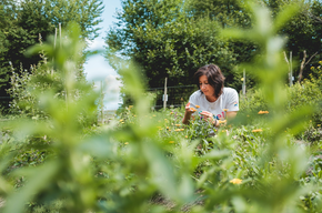 Giardino didattico di piante officinali e aromatiche